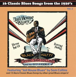 16 Classic Blues Songs From the 1920's: Vol. 5