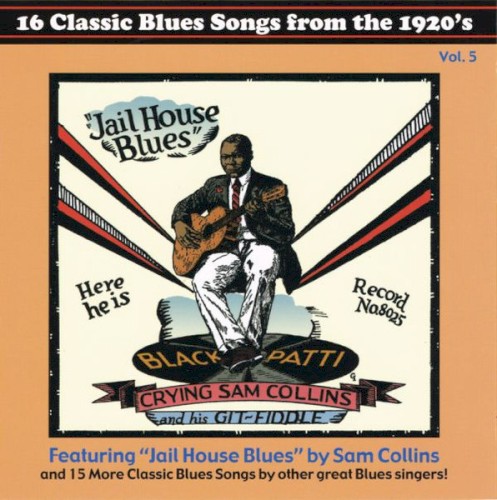 16 Classic Blues Songs From the 1920's: Vol. 5