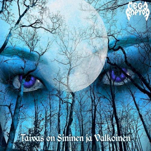 Taivas on Sininen Ja Valkoinen