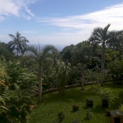 Under the Sun