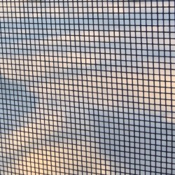 Snowpocalypse