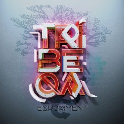 Experiment