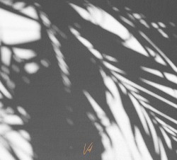 A year in a day LP