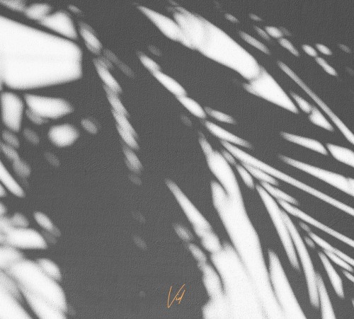 A year in a day LP