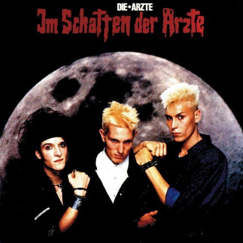 Im Schatten der Ärzte