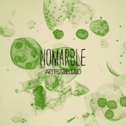NO MARBLE