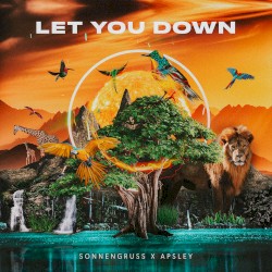 Let You Down