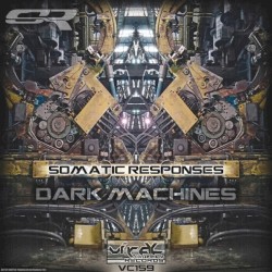 Dark Machines