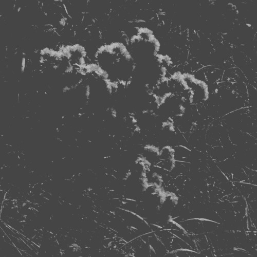 Fragments of a Season