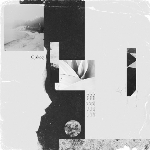 Dolda Byar Remixes