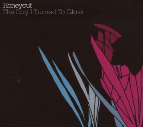 The Day I Turned to Glass