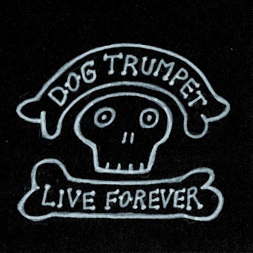 Live Forever