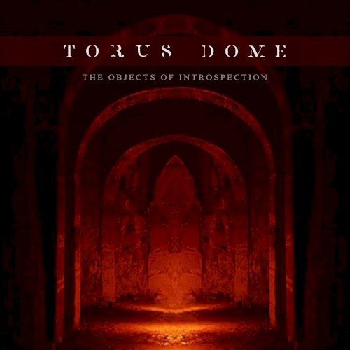 The Objects of Introspection