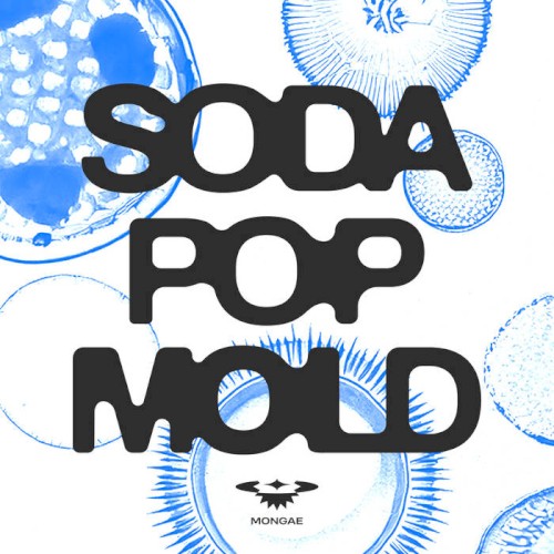 Soda Pop Mold
