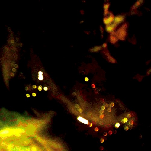 Vomit Jet Cutter Dossier