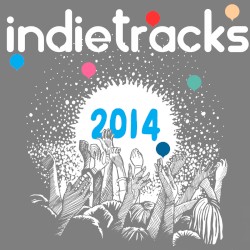 Indietracks Compilation 2014