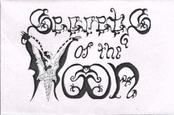 Vanitas