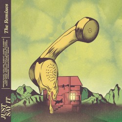 Just Say It (the remixes)