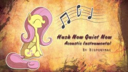 Hush Now Quiet Now (acoustic instumental)
