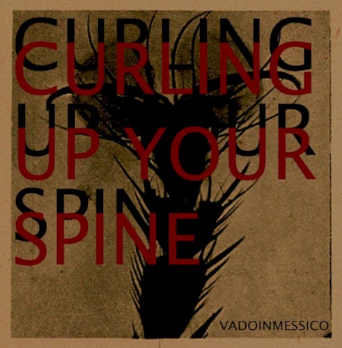 Curling Up Your Spine