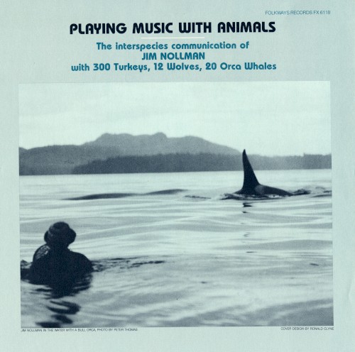 Playing Music With Animals: The Interspecies Communication of Jim Nollman With 300 Turkeys, 12 Wolves, 20 Orca Whales