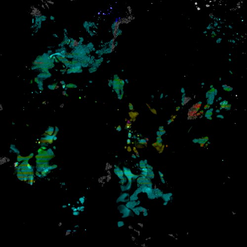 Experimentalist Three