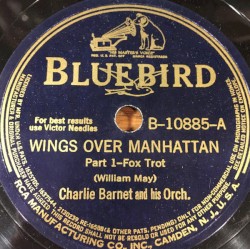Wings Over Manhattan