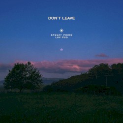 Don’t Leave