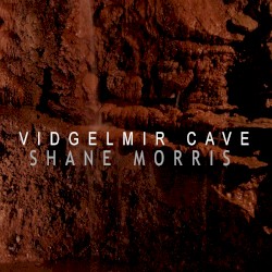 Vidgelmir Cave