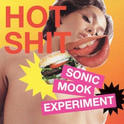 Sonic Mook Experiment 3: Hot Shit