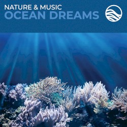 Ocean Dreams