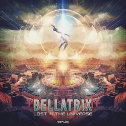 Lost in the Universe
