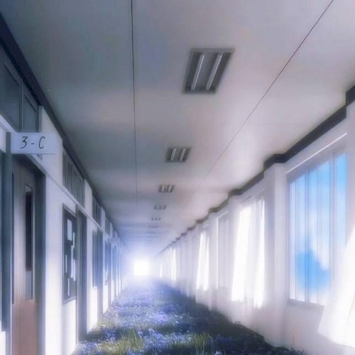 lucid dream