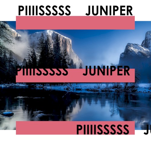 Juniper
