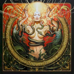 The Gospel According to Shawn James & The Shapeshifters