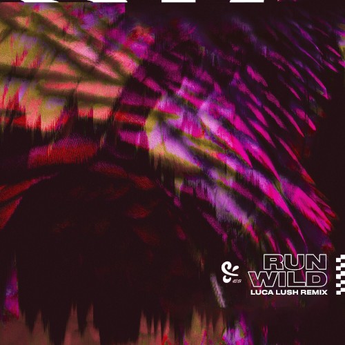 Run Wild (Luca Lush remix)