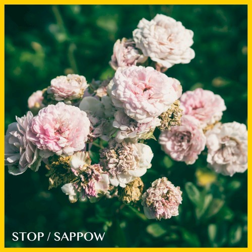 STOP