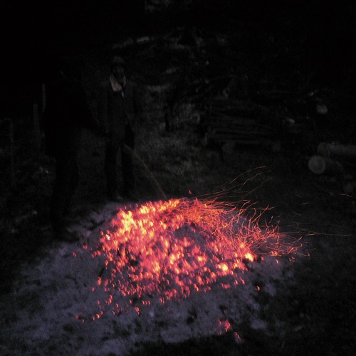 Welt am Draht (Animal Collective Remix) - Single