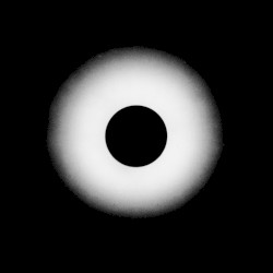 Signal