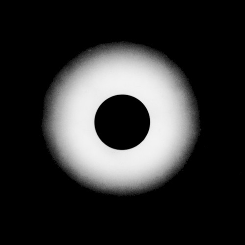 Signal