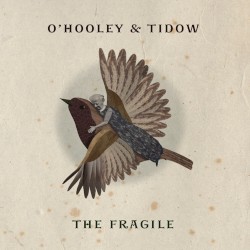 The Fragile