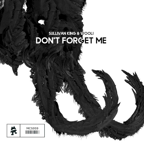Don’t Forget Me