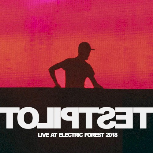 Live at Electric Forest 2018