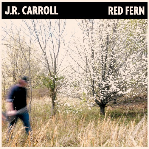 Red Fern