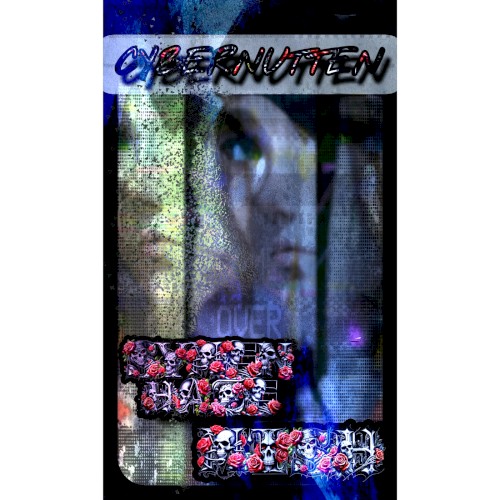 Cybern*Ddn