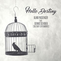 Hello Destiny