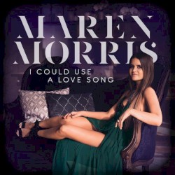 I Could Use A Love Song