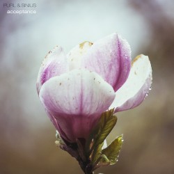 Acceptance