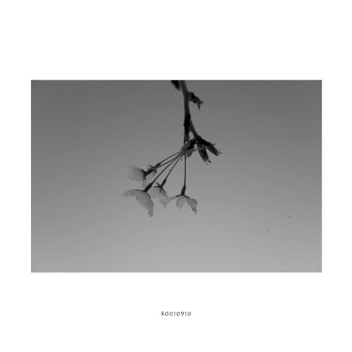 R0010910