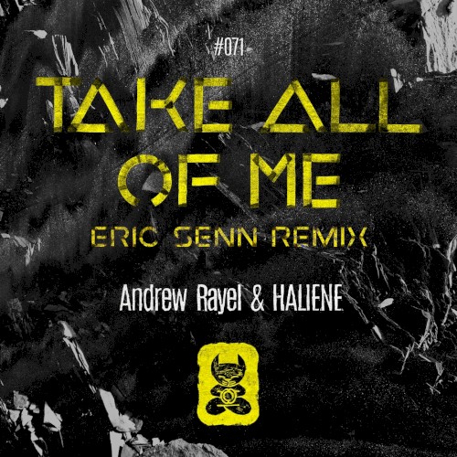 Take All of Me (Eric Senn remix)